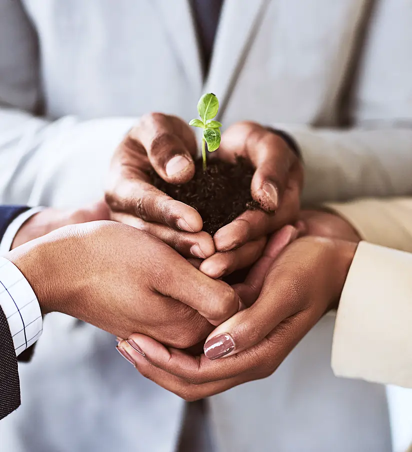 Energy efficiency home illustration